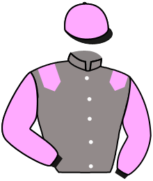 Casaque du n°5 — DRYAS