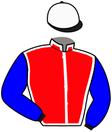 Casaque du n°11 — PRINCE DE L'ORNE