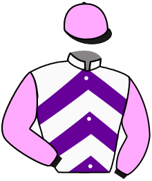 Casaque du n°14 — LA GARDE DU BREUIL