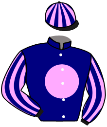 Casaque du n°4 — PLEIN SUD