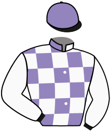 Casaque du n°12 — DALYAMIX