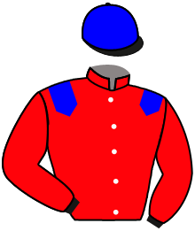 Casaque du n°2 — ROI DE L'AIR