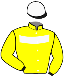 Casaque du n°12 — MERANO BLEU