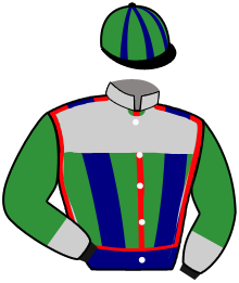 Casaque du n°2 — SOLITO
