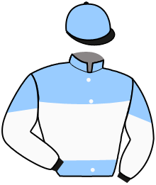 Casaque du n°5 — FERDEN