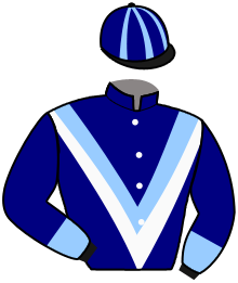 Casaque du n°1 — FANNY INVALLEY