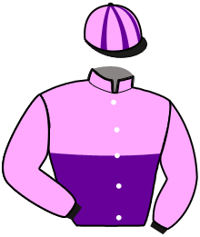 Casaque du n°1 — NANO DE VAUVERT