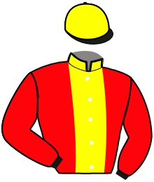 Casaque du n°1 — MAJORFLASH