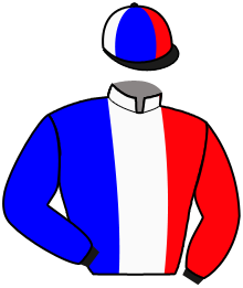 Casaque du n°5 — LOCOBIELSA