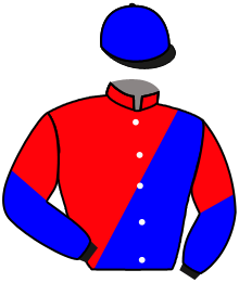Casaque du n°2 — SANTA SONRISA