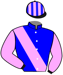 Casaque du n°4 — MEISHO ARCS