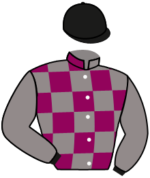 Casaque du n°12 — LARLIB