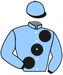 Casaque du n°1 — GREEN TEAM