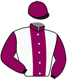 Casaque du n°12 — LADY DELILA