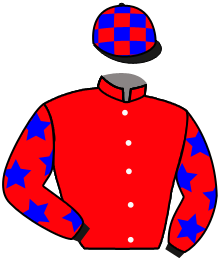 Casaque du n°2 — CHESNEYS CHARM
