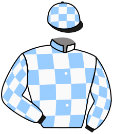 Casaque du n°5 — NOTABLE CHARM
