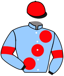 Casaque du n°1 — ALJOON