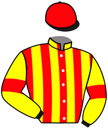Casaque du n°1 — FASTER BEE