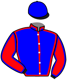 Casaque du n°4 — TORTOLA