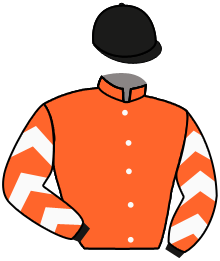 Casaque du n°9 — CAPTAIN KINSELLA