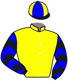 Casaque du n°10 — LATE CLAIM
