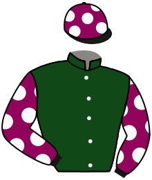 Casaque du n°6 — ARLECCHINO'S REX