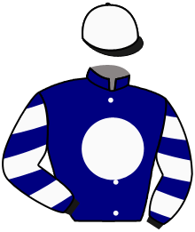 Casaque du n°2 — DAYTONA LADY