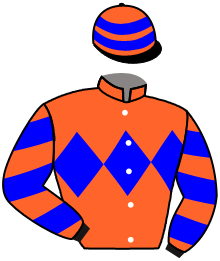 Casaque du n°15 — NIDAMA AA