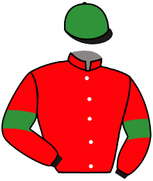 Casaque du n°4 — ALMOONTASIRA