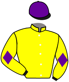 Casaque du n°14 — PRIVATE PROPERTY