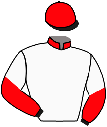 Casaque du n°14 — RHYTON