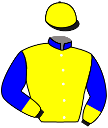 Casaque du n°4 — CANDARA