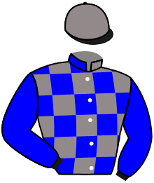 Casaque du n°15 — KONIAC WOOD